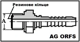 Form image